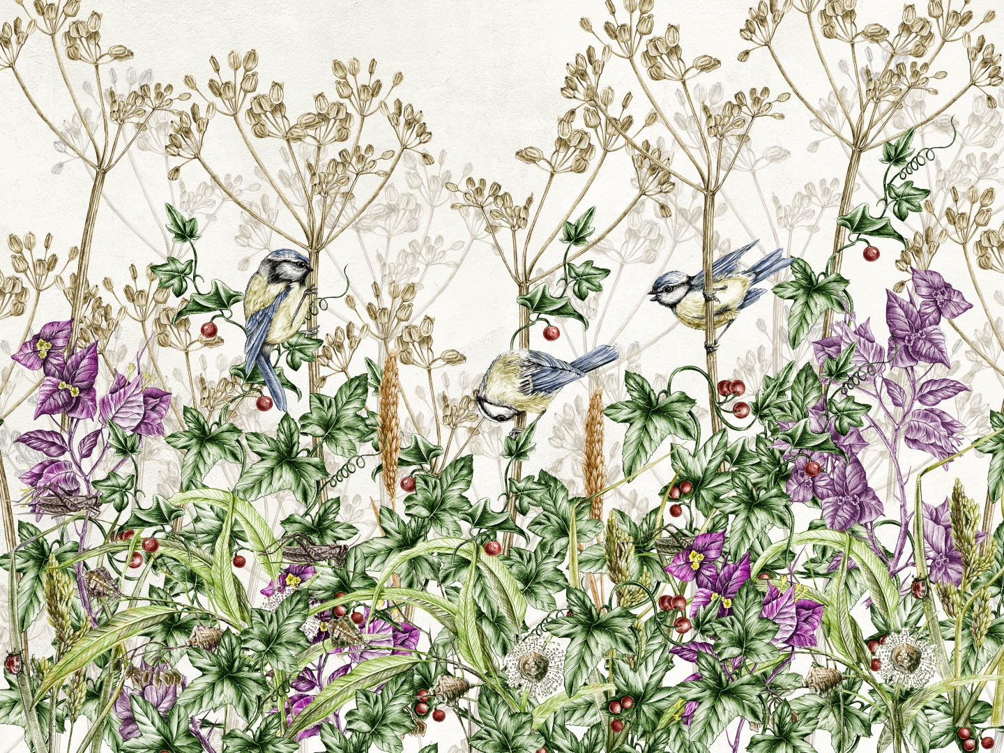 Коллекция Botanica