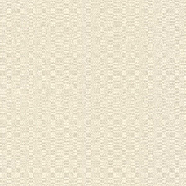 424058 424058