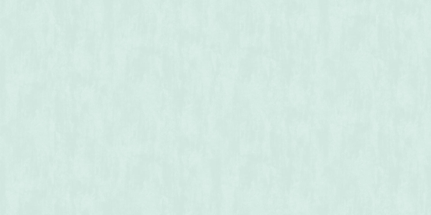 5029-4 5029-4