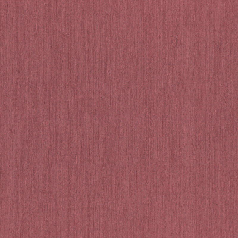 800579 800579