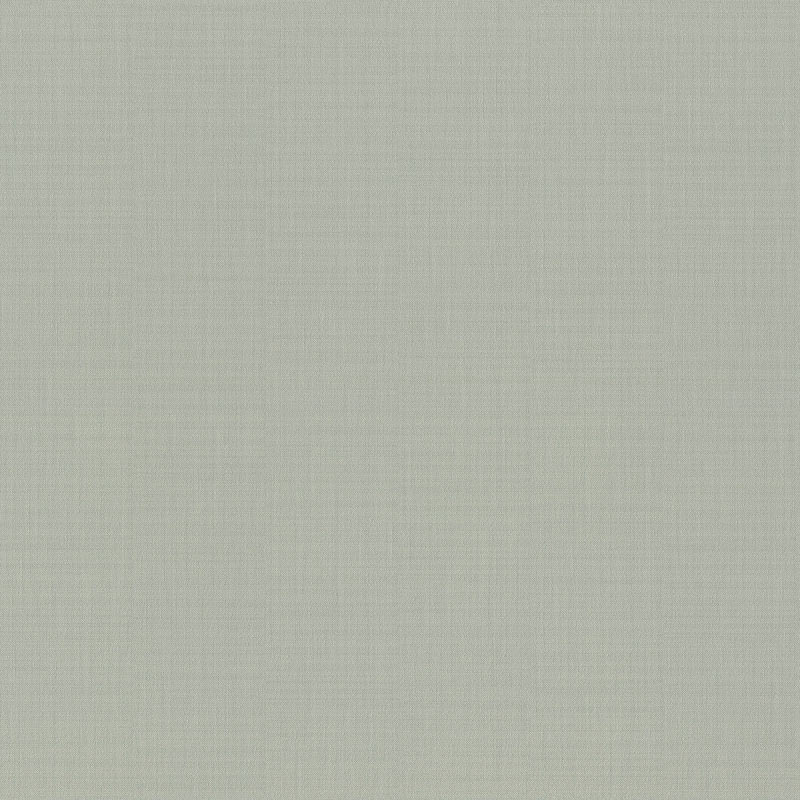 918878 918878