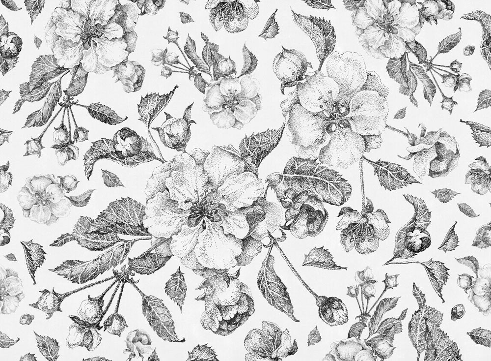 APPLE FLOWERS_02 APPLE FLOWERS