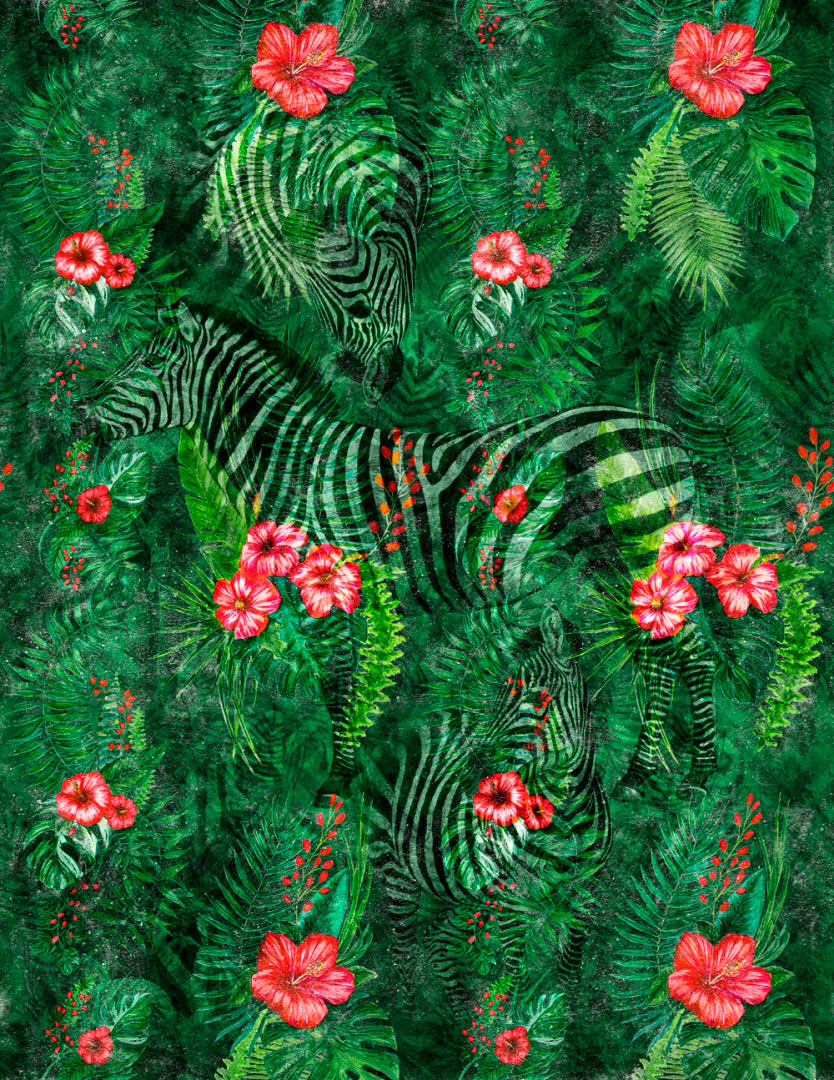 Areca_03 Areca