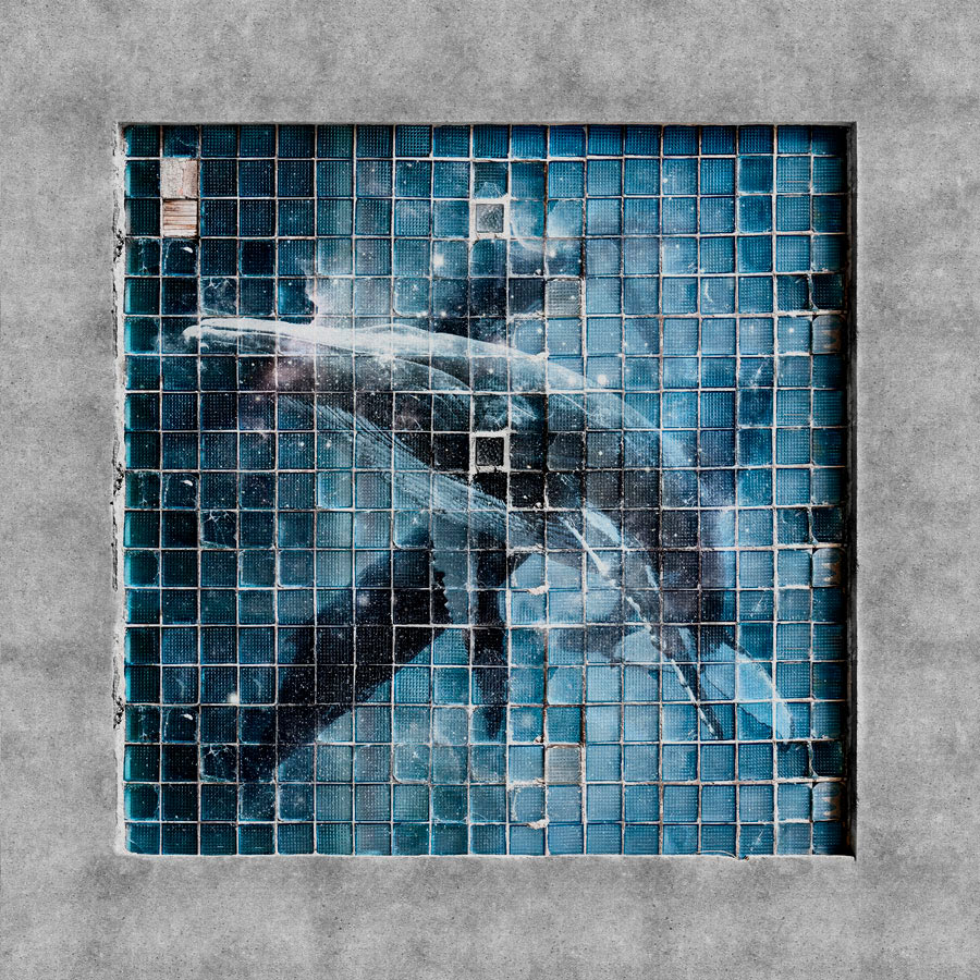 BLUE WHALE BLUE WHALE