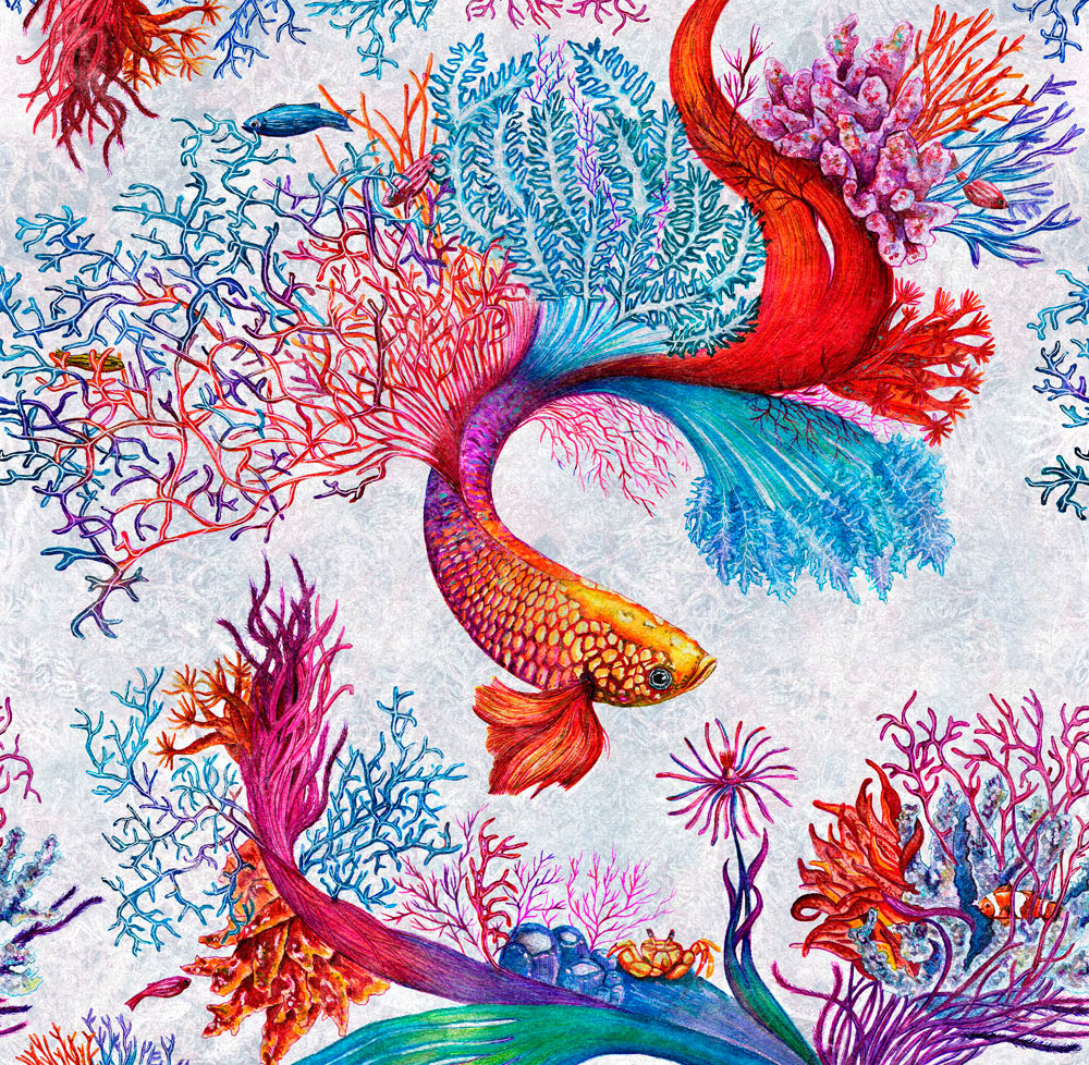CORALS_03 CORALS