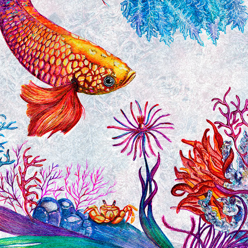 Увеличенный фрагмент CORALS