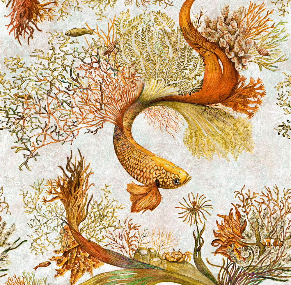 CORALS_04 CORALS