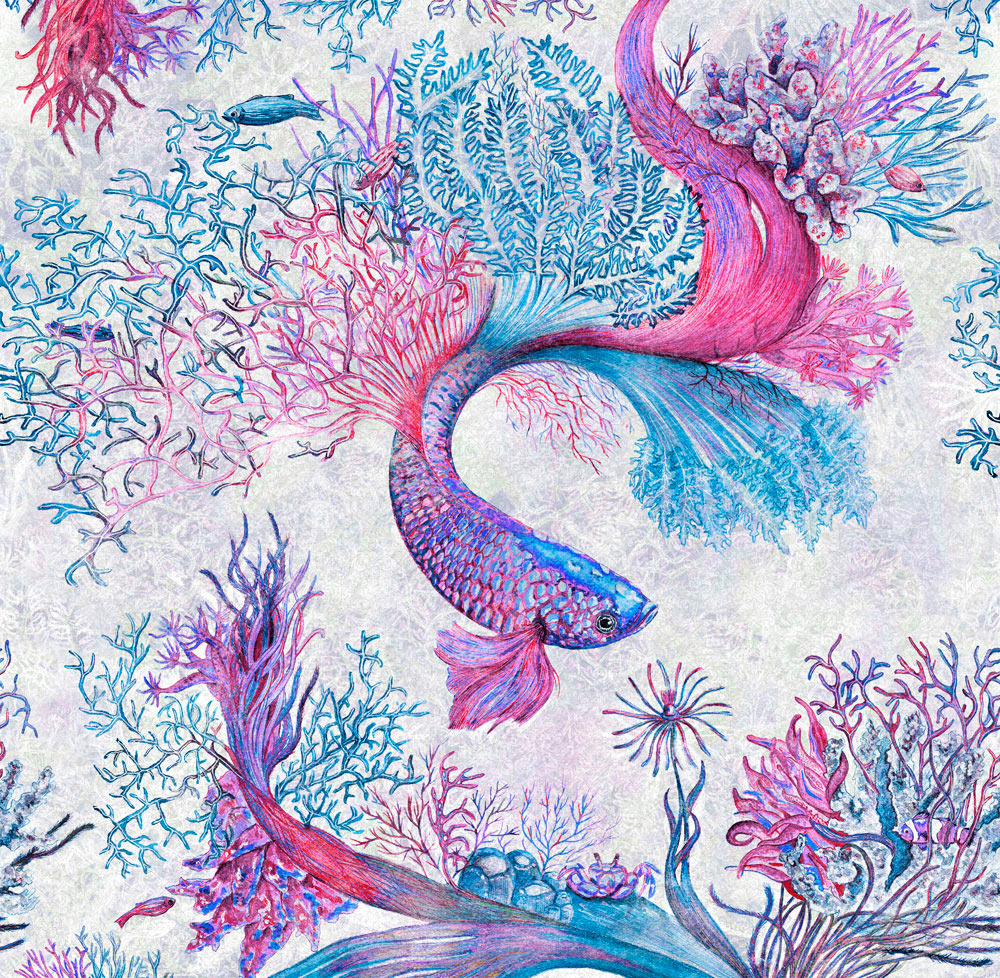 CORALS_05 CORALS