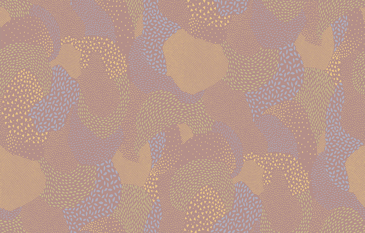 D2 003 D2 003