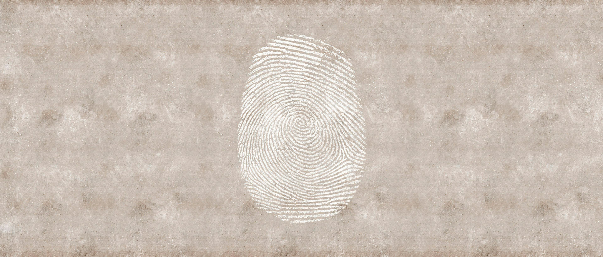 FINGERPRINT_01 FINGERPRINT