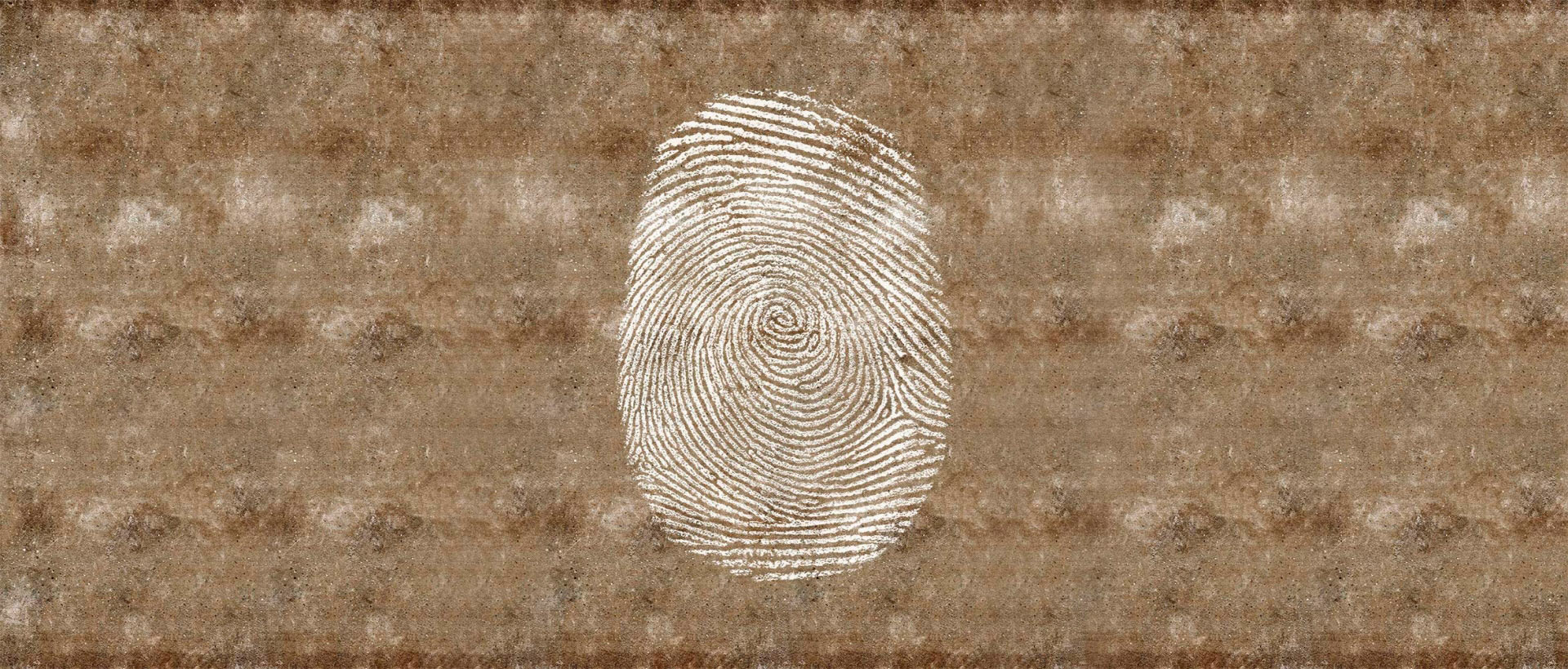 FINGERPRINT_02 FINGERPRINT