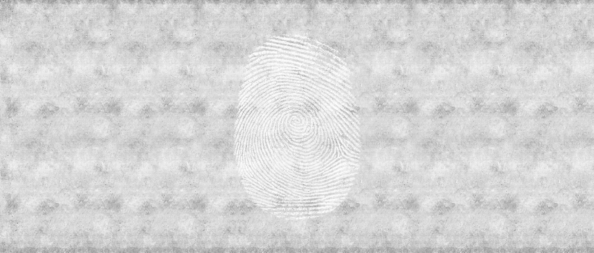 FINGERPRINT_03 FINGERPRINT
