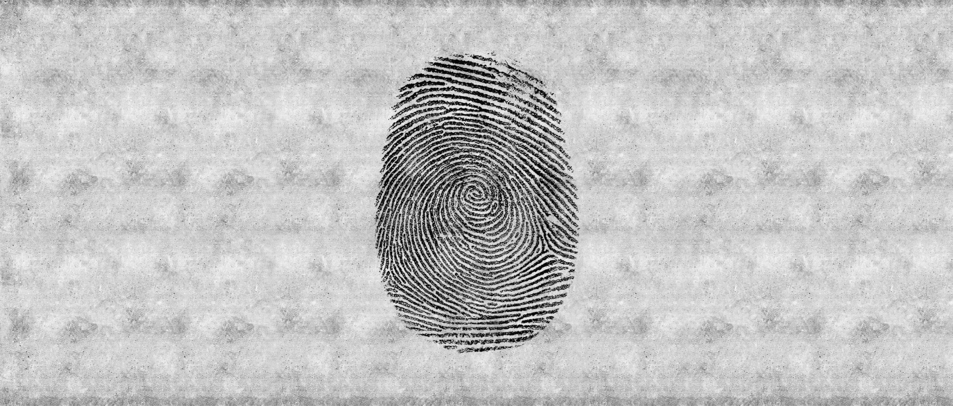 FINGERPRINT_04 FINGERPRINT