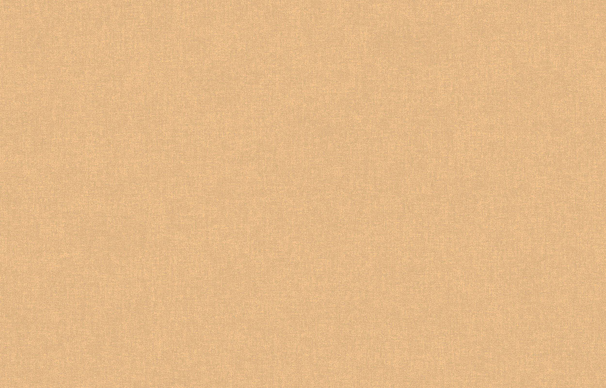 neo3_003 neo3_003