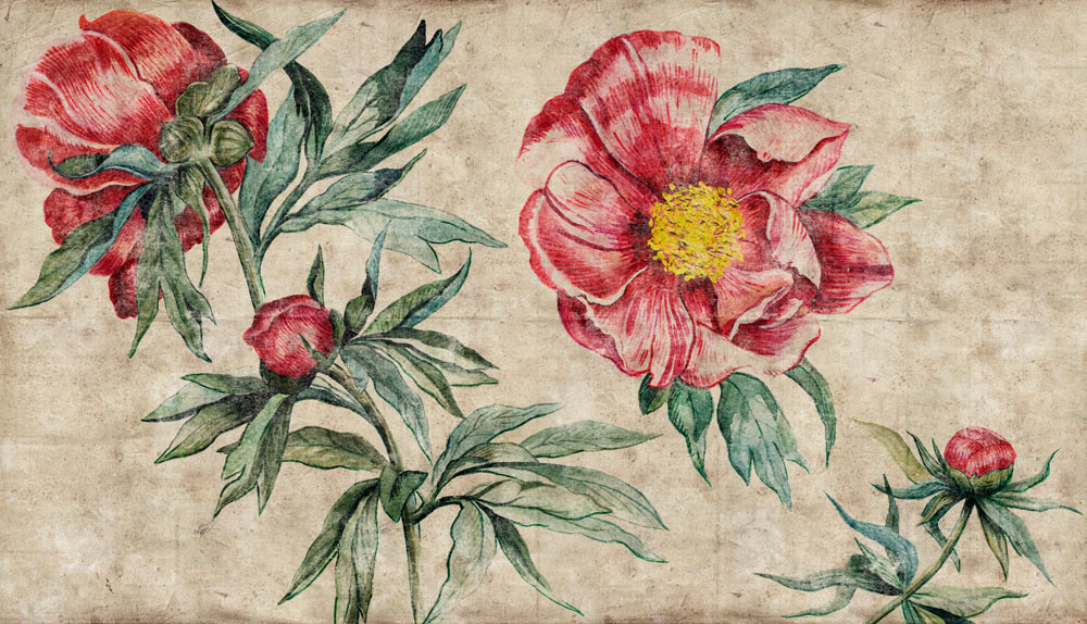 RED PEONY_01 RED PEONY №1, №2