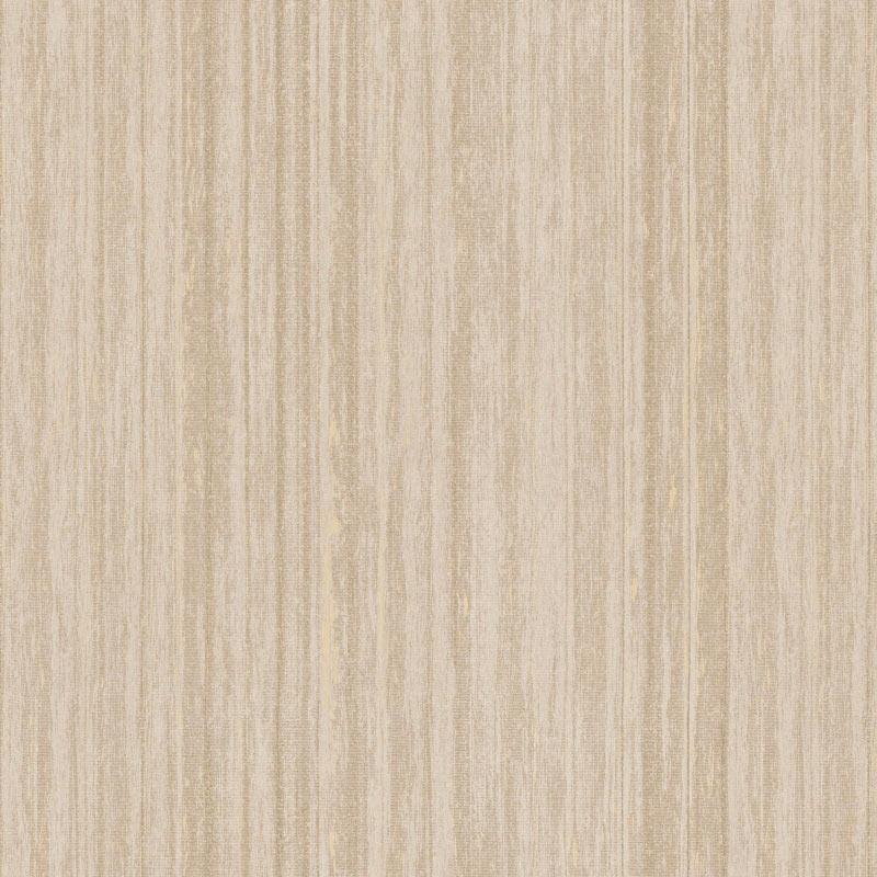 s10350-06 s10350-06