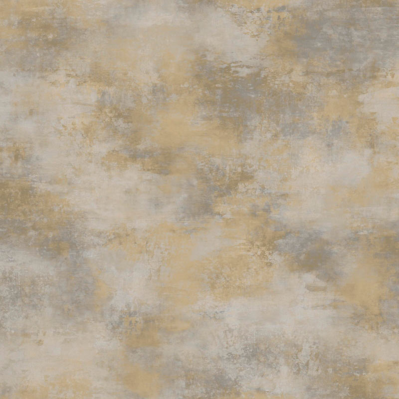 s10365-08 s10365-08