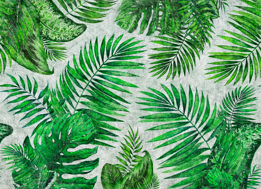 TROPICAL_01 TROPICAL №1, №2, №3