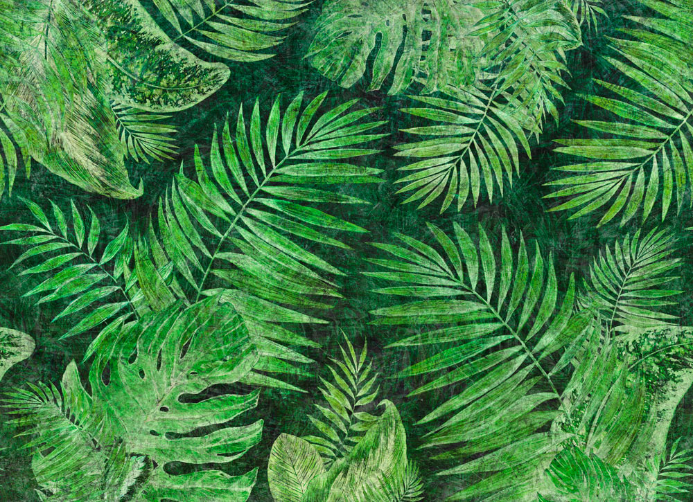 TROPICAL_04 TROPICAL №4, №5, №6