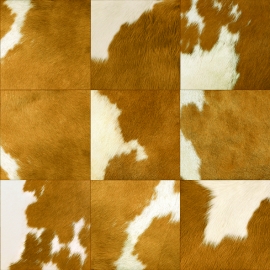 1401-2 1401-2