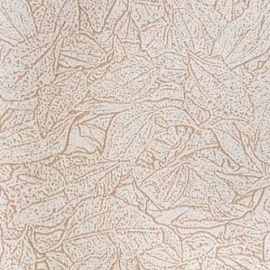 REF213C05