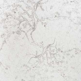 REF210C04 
