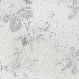 REF207C02 