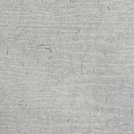 REF215C02 