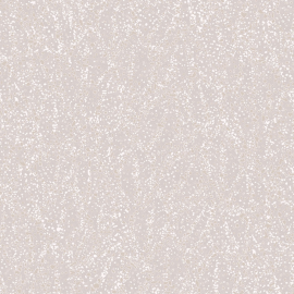PM7 001