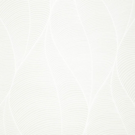 20-Pure