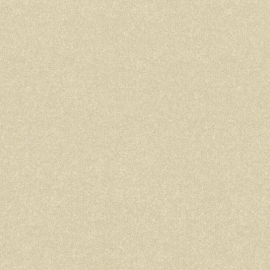 26 002/1