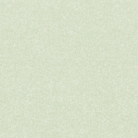 26 005