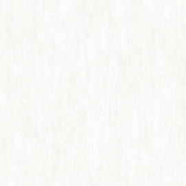 54289-1