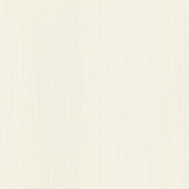 800517 800517