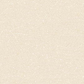 81076-3