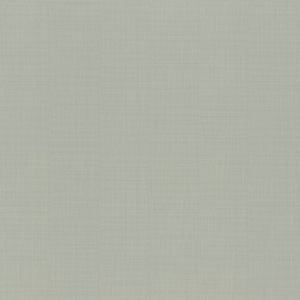 918878 918878