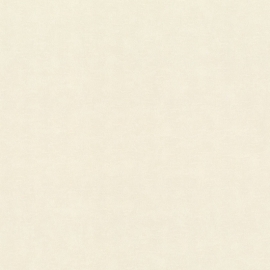 965001 965001