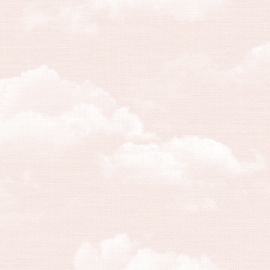 A5119-1