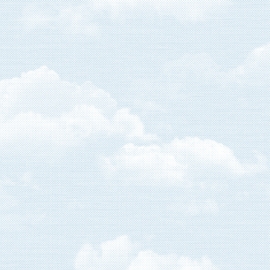 A5119-2