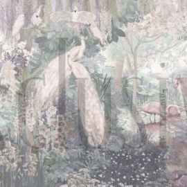 AB307-COL2