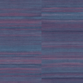 AK2205