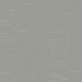 AK2501
