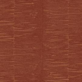 AK2507