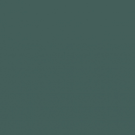 am3_018_5