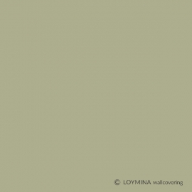 BQ7 005