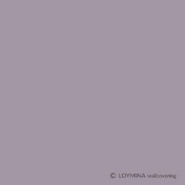 BQ7 007