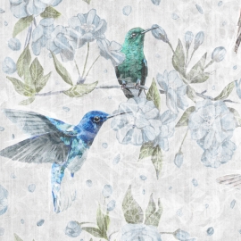 COLIBRI COLIBRI