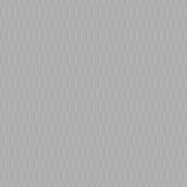 Ice 5 006