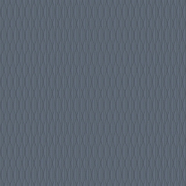 Ice 5 021