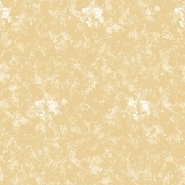 LO2161